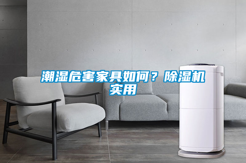 潮湿危害家具如何？草莓视频APP在线实用