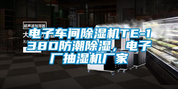 电子车间草莓视频APP在线TE-138D防潮除湿，电子厂抽湿机厂家
