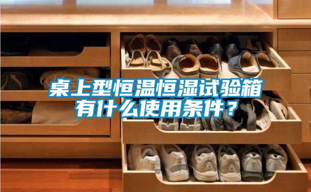 桌上型恒温恒湿试验箱有什么使用条件？