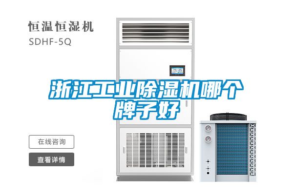 浙江工业草莓视频APP在线哪个牌子好