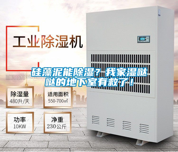 硅藻泥能除湿？我家湿哒哒的地下室有救了！