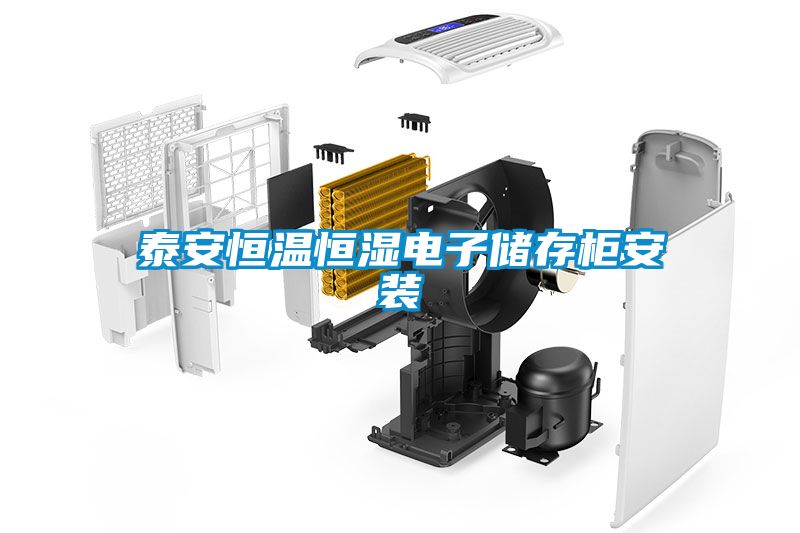 泰安恒温恒湿电子储存柜安装