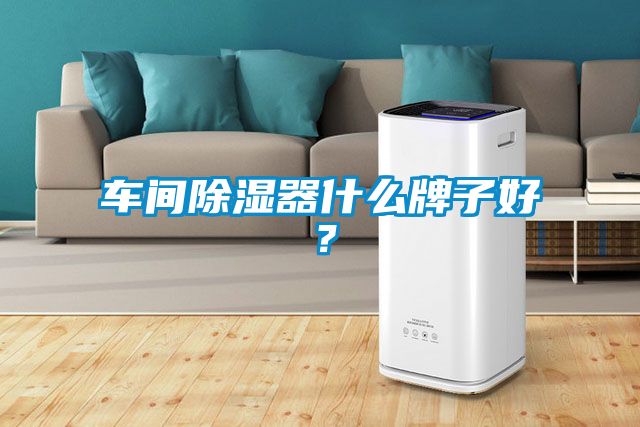 车间除湿器什么牌子好？