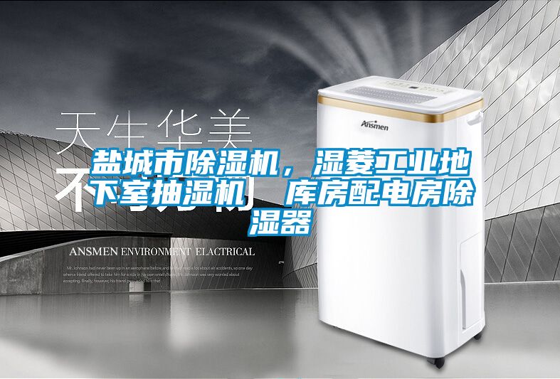 盐城市草莓视频APP在线，湿菱工业地下室抽湿机  库房配电房除湿器