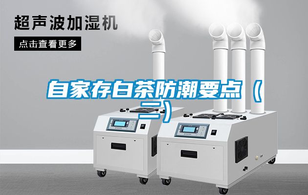 自家存白茶防潮要点（二）