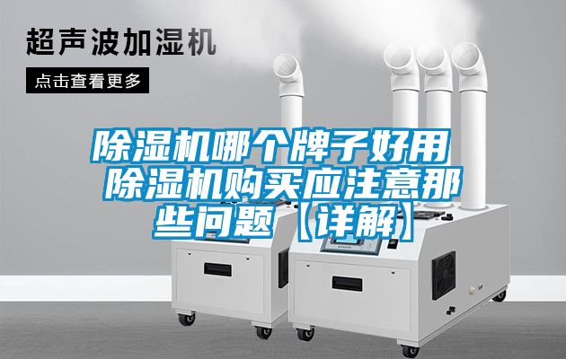 草莓视频APP在线哪个牌子好用 草莓视频APP在线购买应注意那些问题【详解】