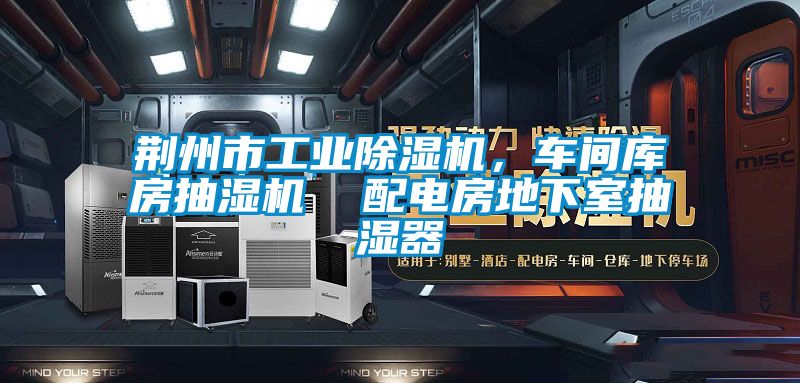 荆州市工业草莓视频APP在线，车间库房抽湿机  配电房地下室抽湿器