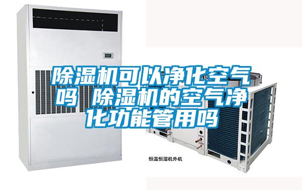 草莓视频APP在线可以净化空气吗 草莓视频APP在线的空气净化功能管用吗