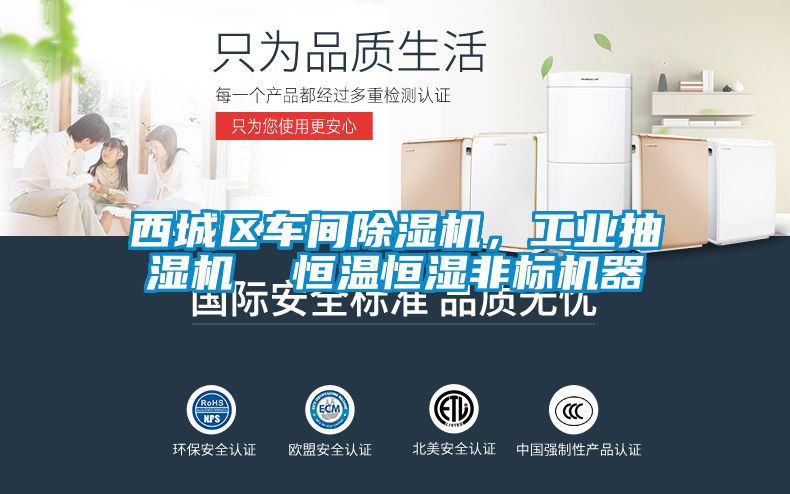 西城区车间草莓视频APP在线，工业抽湿机  恒温恒湿非标机器