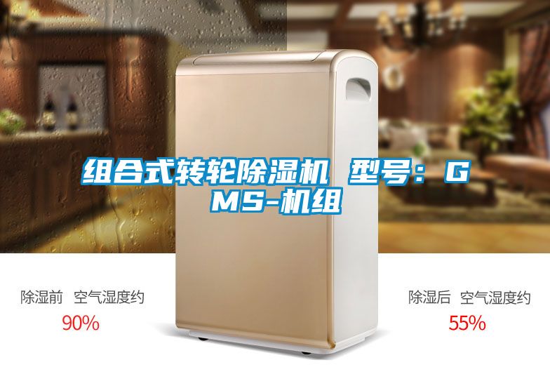 组合式转轮草莓视频APP在线 型号：GMS-机组