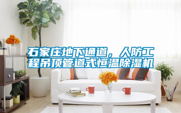 石家庄地下通道，人防工程吊顶管道式恒温草莓视频APP在线