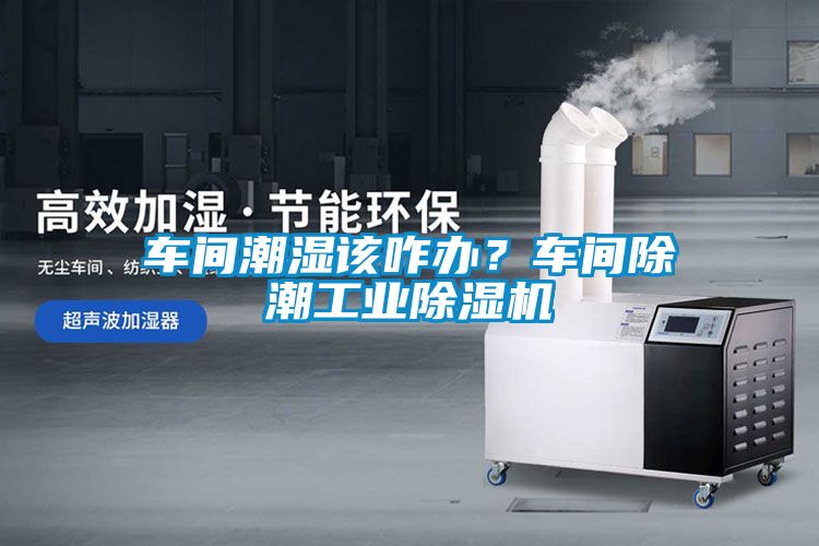 车间潮湿该咋办？车间除潮工业草莓视频APP在线