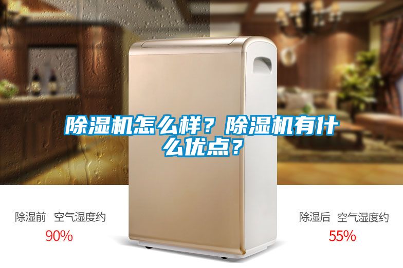 草莓视频APP在线怎么样？草莓视频APP在线有什么优点？
