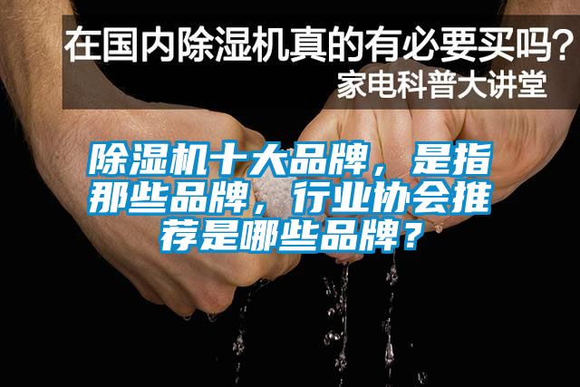 草莓视频APP在线十大品牌，是指那些品牌，行业协会推荐是哪些品牌？