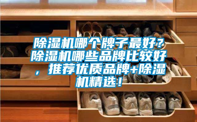 草莓视频APP在线哪个牌子最好？草莓视频APP在线哪些品牌比较好，推荐优质品牌+草莓视频APP在线精选！