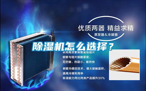 草莓视频APP在线怎么选择？