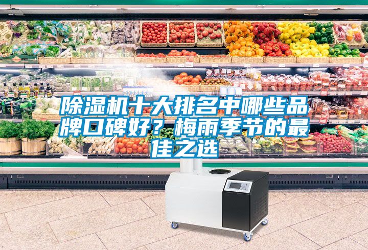 草莓视频APP在线十大排名中哪些品牌口碑好？梅雨季节的最佳之选