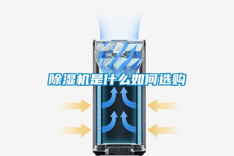 草莓视频APP在线是什么如何选购