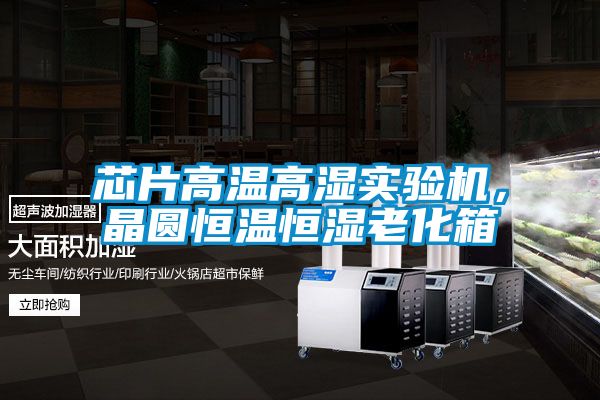 芯片高温高湿实验机，晶圆恒温恒湿老化箱