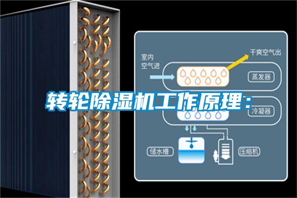转轮草莓视频APP在线工作原理：