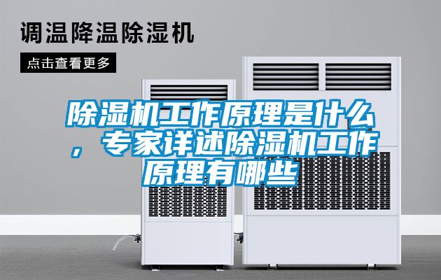 草莓视频APP在线工作原理是什么，专家详述草莓视频APP在线工作原理有哪些