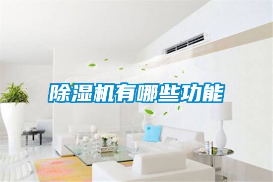 草莓视频APP在线有哪些功能