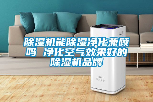 草莓视频APP在线能除湿净化兼顾吗 净化空气效果好的草莓视频APP在线品牌