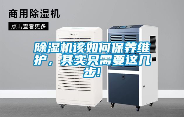 草莓视频APP在线该如何保养维护，其实只需要这几步!