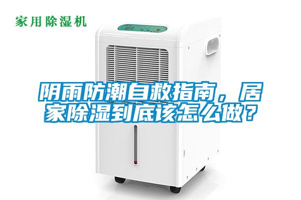 阴雨防潮自救指南，居家除湿到底该怎么做？