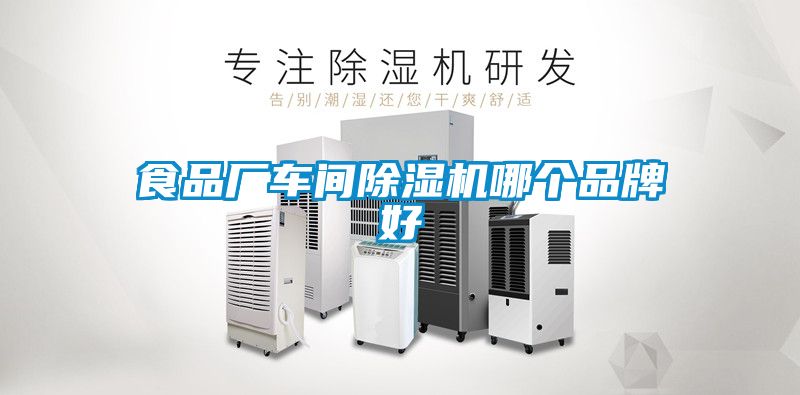 食品厂车间草莓视频APP在线哪个品牌好