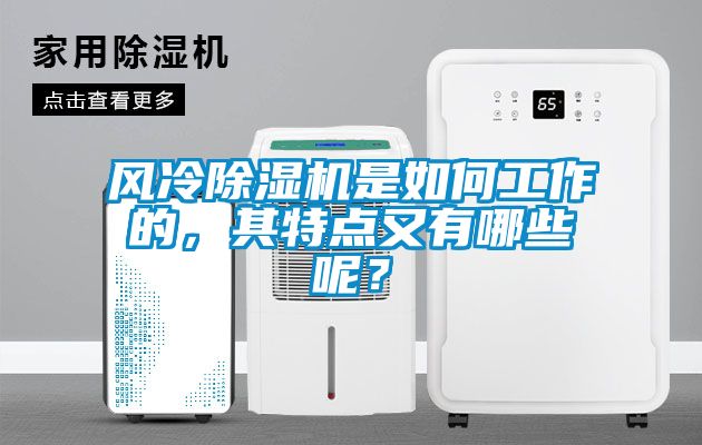 风冷草莓视频APP在线是如何工作的，其特点又有哪些呢？