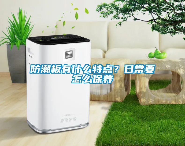 防潮板有什么特点？日常要怎么保养