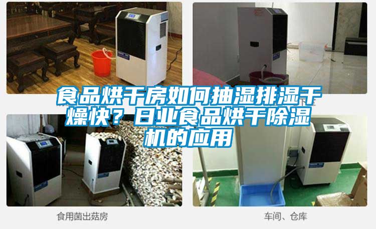 食品烘干房如何抽湿排湿干燥快？日业食品烘干草莓视频APP在线的应用